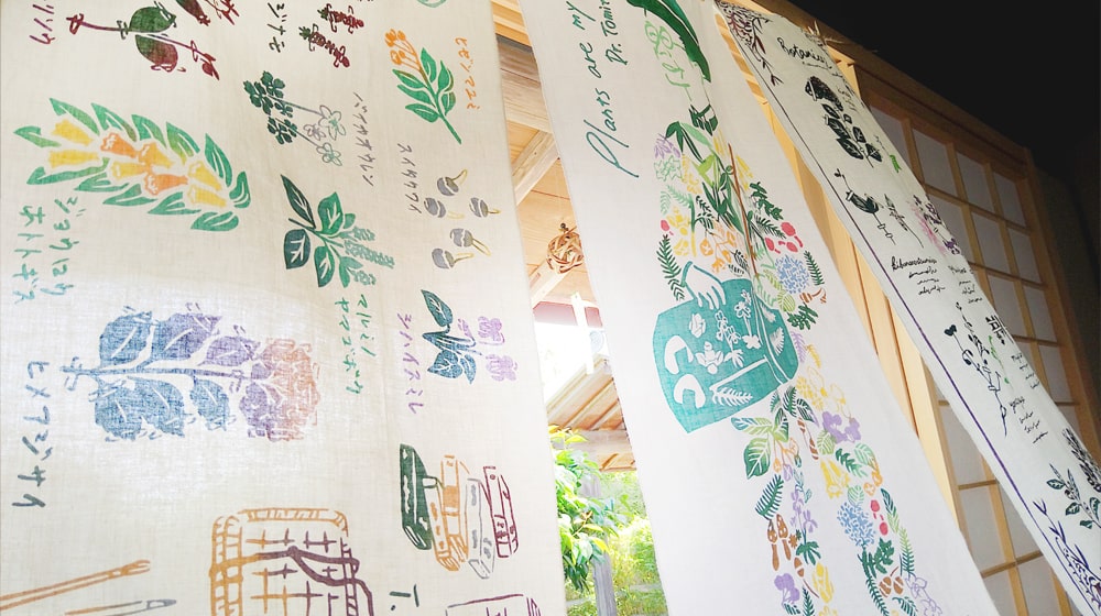 根付け　牧童　時代物 楽天市場】『KusaKi』バイカオウレンセット 牧野 富太郎 博士